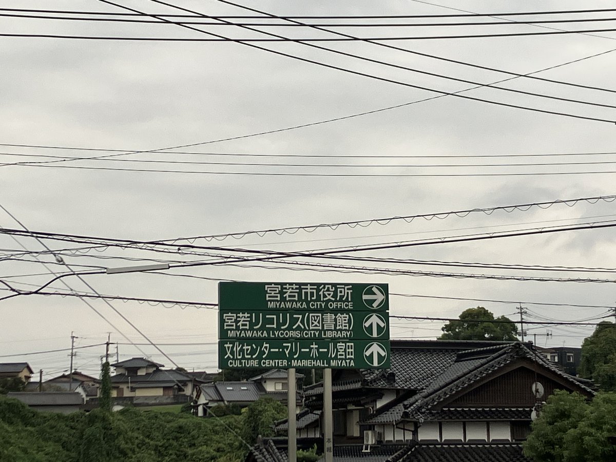 altrabitt's tweet photo. ほんの２４時間くらい遅れてしまっただけだ🌙 https://t.co/ptsfNZpm4Y
