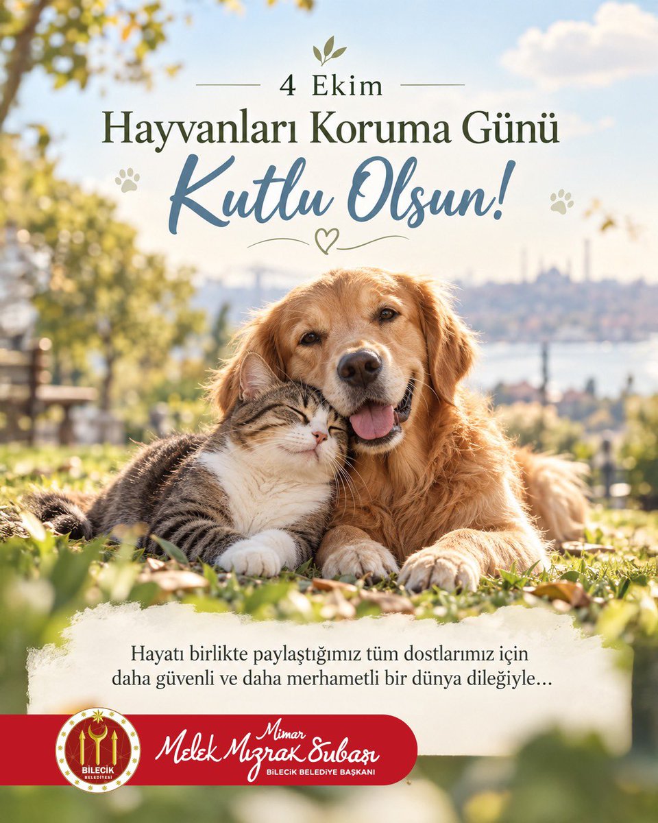 melekmsubasi's tweet photo. Hayatı birlikte paylaştığımız tüm dostlarımız için daha güvenli ve daha merhametli bir dünya dileğiyle…

4 Ekim Hayvanları Koruma Günü Kutlu Olsun! https://t.co/UpsPjKcFXt