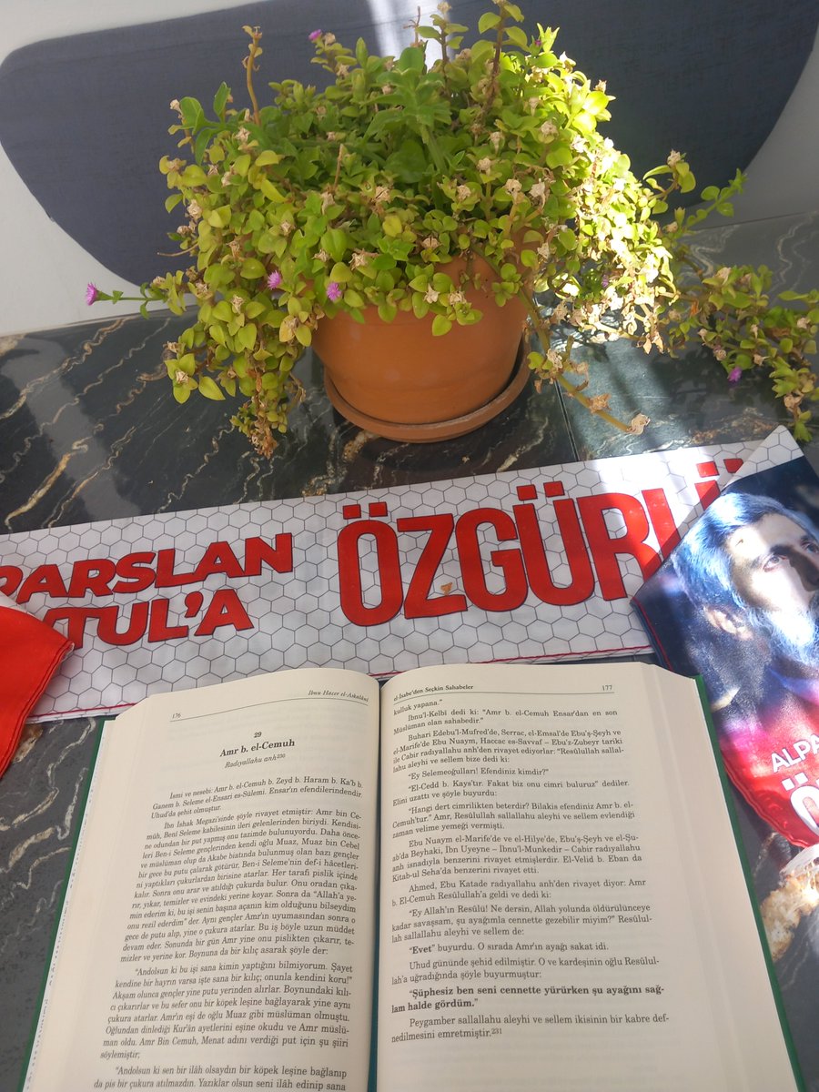 esmesahbaz's tweet photo. #HocamlaOkuyorum
Her pazar olduğu gibi yine Alparslan hocamla kitap okuyorum https://t.co/LqMkweqHlW