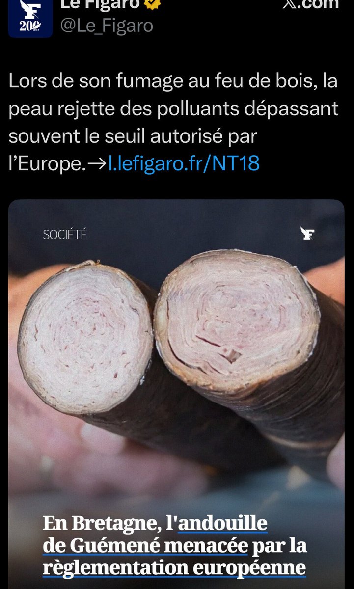 PhilippeMurer's tweet photo. L’UE veut interdire l’andouille de Guéméné !
Toutes nos traditions 🇫🇷 sont menacées par cette horrible UE.
Frexit
PS: au même moment, l’UE fait entrer de la viande aux hormones et antibiotiques du Brésil avec le Mercosur. https://t.co/MvHSdPasOM
