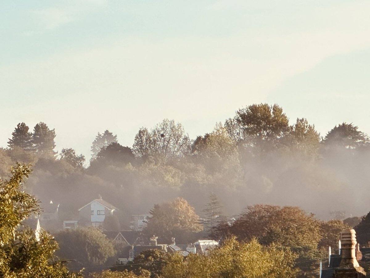 DodgeyDog's tweet photo. Magic along the Channel - mist dancing its way from West to East - in the glow of the early sun’s rays - I was spellbound https://t.co/vN7Awdwqwx