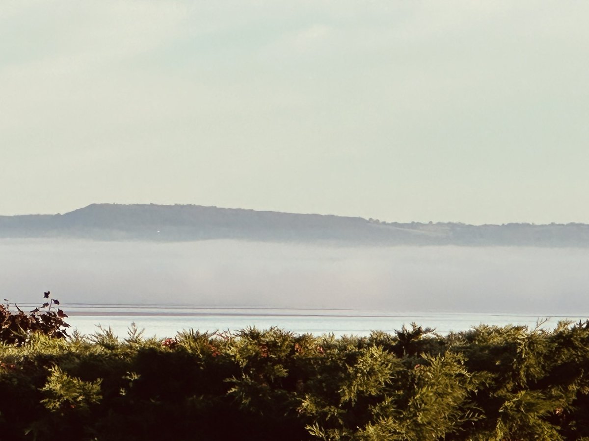 DodgeyDog's tweet photo. Magic along the Channel - mist dancing its way from West to East - in the glow of the early sun’s rays - I was spellbound https://t.co/vN7Awdwqwx