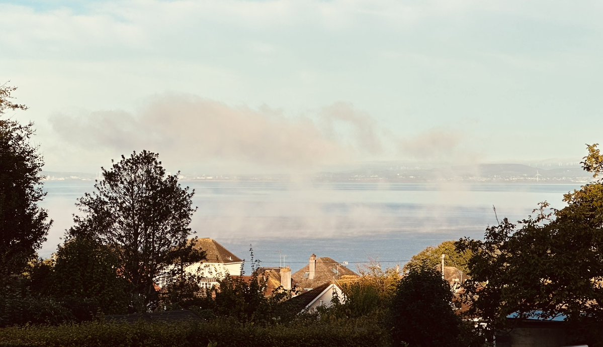DodgeyDog's tweet photo. Magic along the Channel - mist dancing its way from West to East - in the glow of the early sun’s rays - I was spellbound https://t.co/vN7Awdwqwx