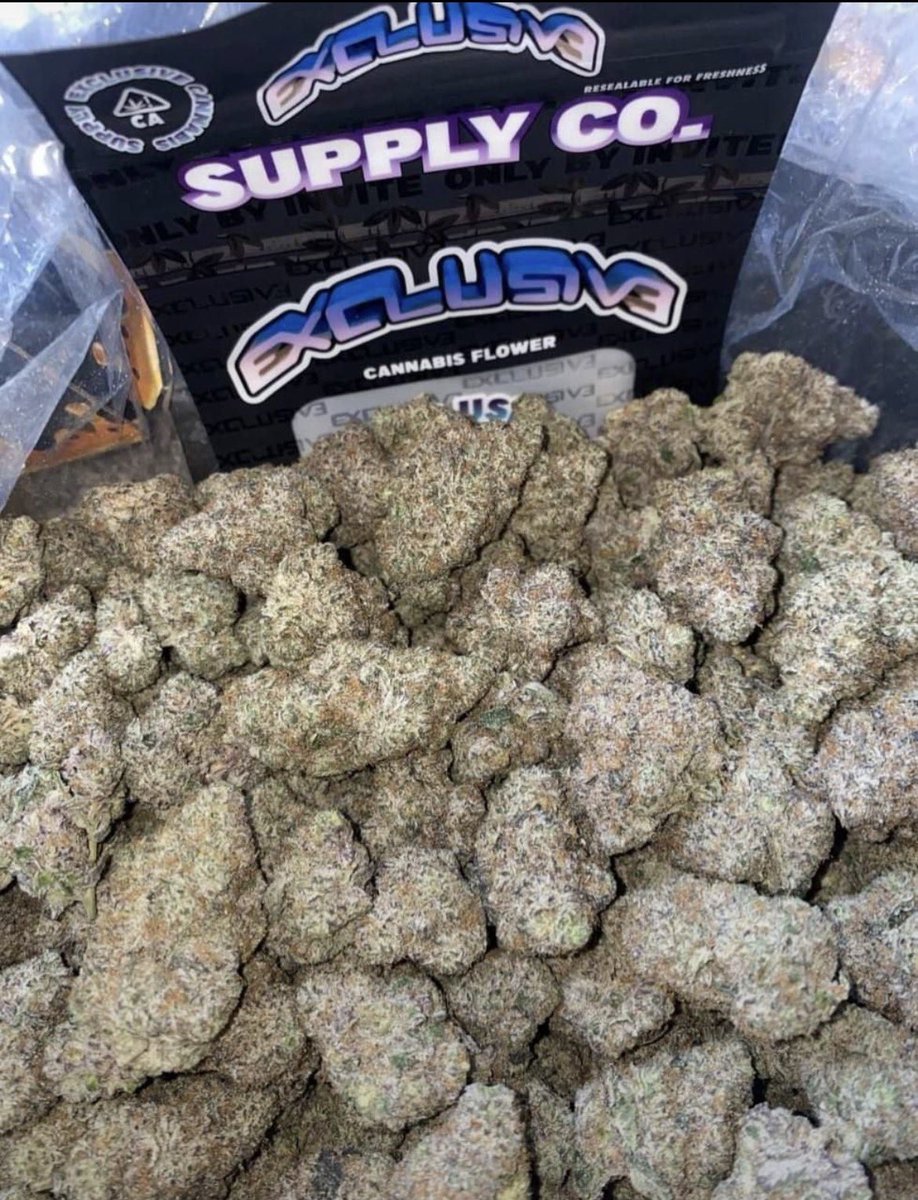 D420plug tweet picture