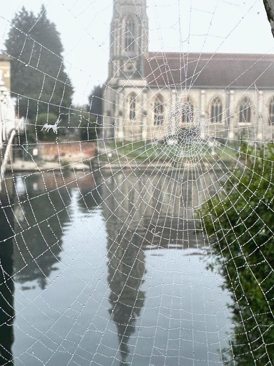 MyMarlowUK's tweet photo. Good morning 😊 One of those lovely foggy mornings where countless spider webs are on display on fences and railings 😍 https://t.co/a3THqdqgnL