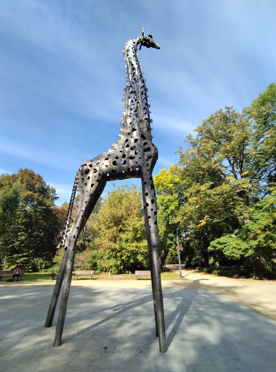 alameli's tweet photo. 45 years old 🦒 https://t.co/sPREZh0tNL