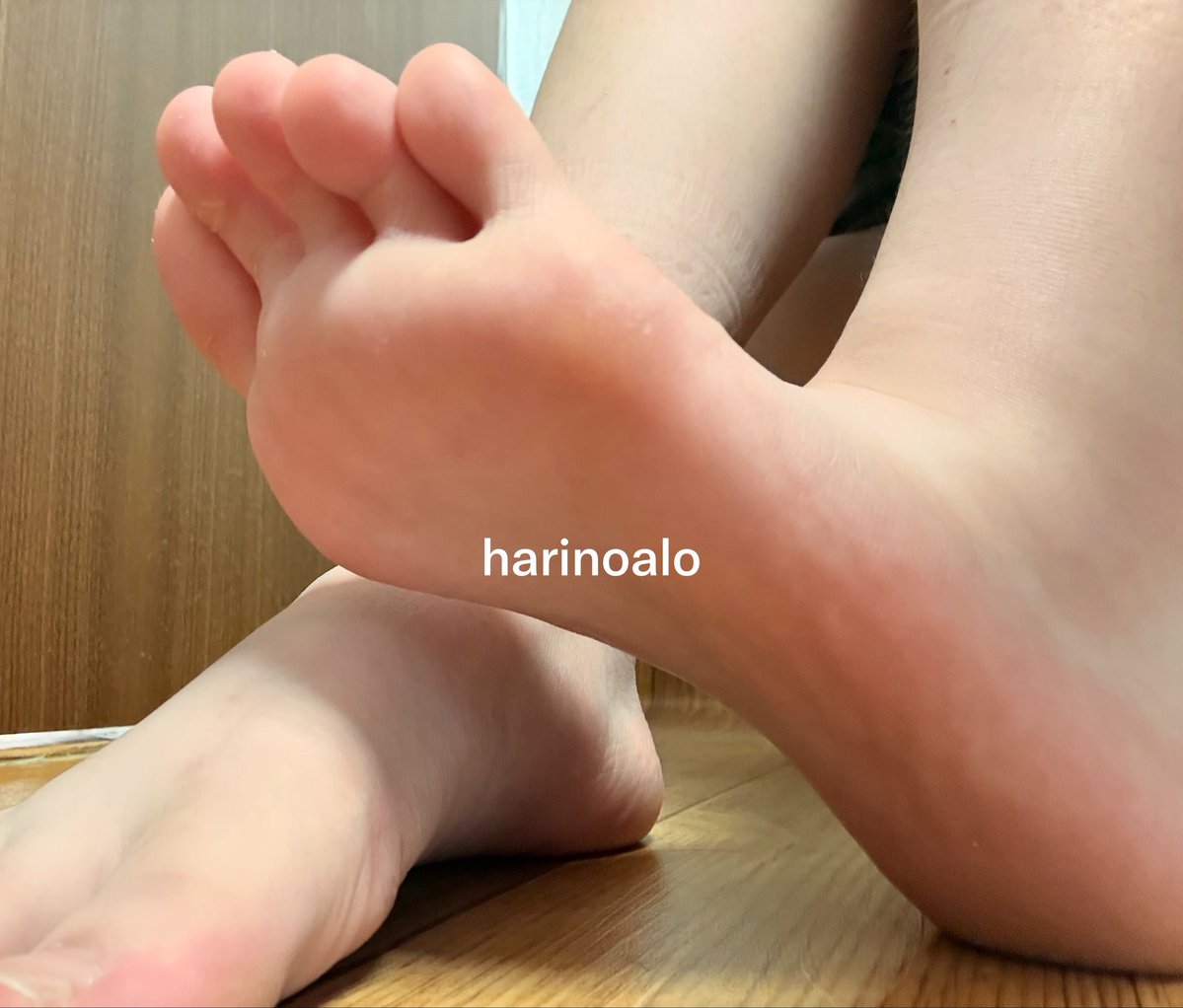 Harinoalo's tweet photo. 이거는 예전에 찍고 안 올렸던 거
발은 서비스ㅎ https://t.co/w12w2IzMkY