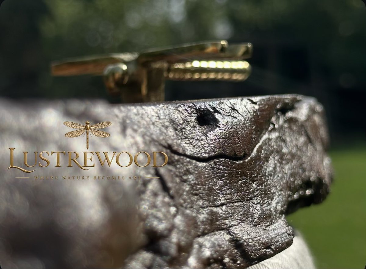 rahimkhan_x's tweet photo. These are not artificially generated photos, these are Lustrewood’s original photos clicked on an iphone !!
   My dear better half’s wood venture ‘Lustrewood | Where nature becomes art’ — for our catalogue and/or placing your order, youre welcome to dm me 😊

#Lustrewood https://t.co/9XZrTNjx8P