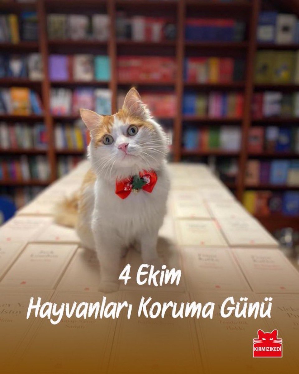 krmzkedikitap's tweet photo. 4 Ekim Hayvanları Koruma Günü kutlu olsun!

#kırmızıkedi #nekedisiznekitapsız #hayvanlarıkorumagünü https://t.co/YlTa4H82IW