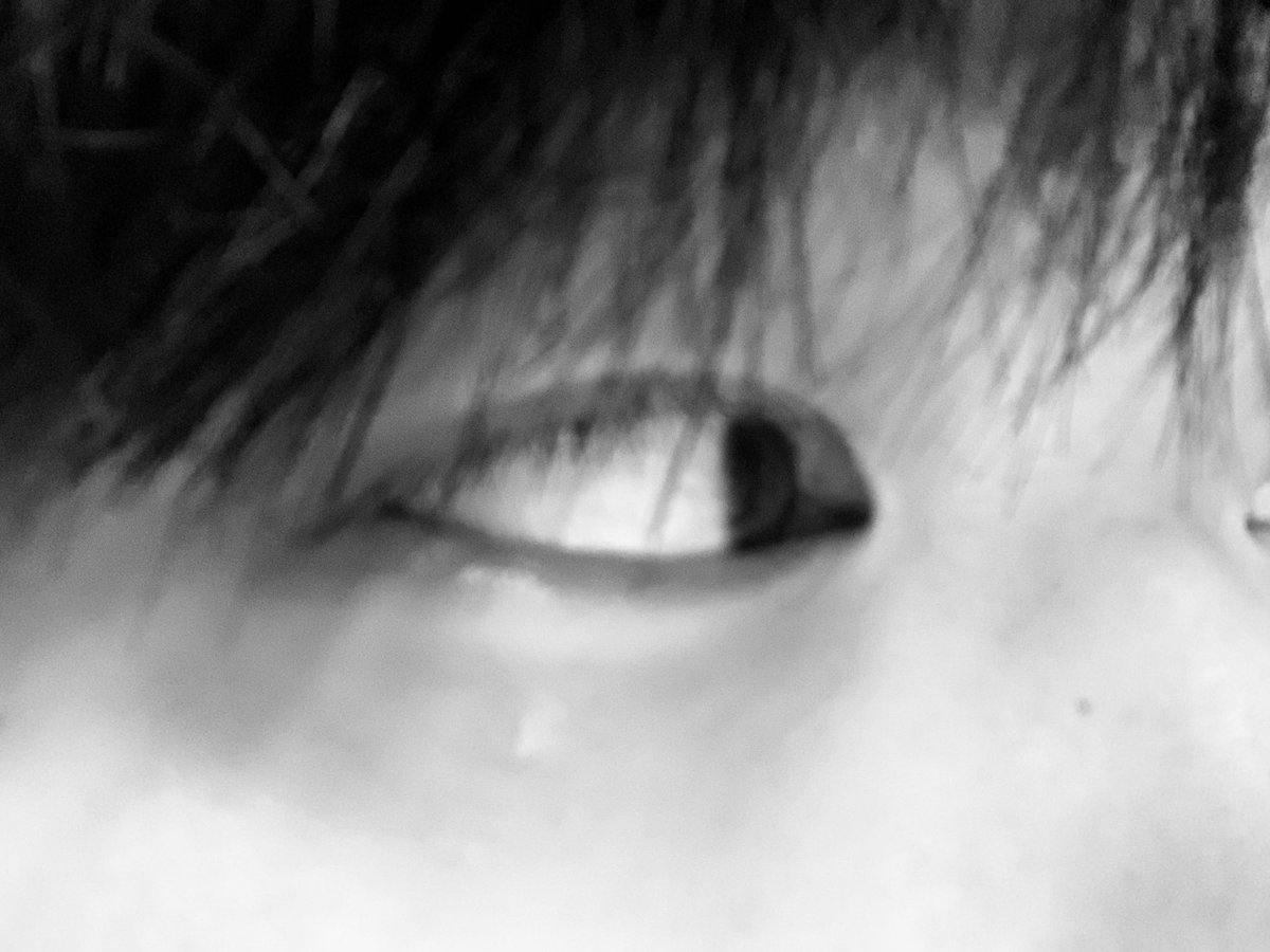 kongru0180's tweet photo. 바람이 나를 부르고있어 https://t.co/zZ2XHa0HFZ