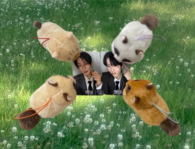 heppokotarou3's tweet photo. ぽん活 https://t.co/TAGtSOmVV1