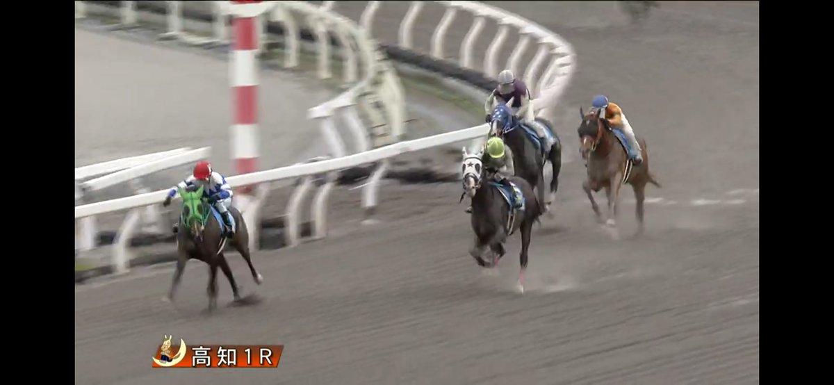 MmeCherokee09's tweet photo. 遅くなりましたが！

パルムグレンやったね！
逃げ切り快勝！
新馬勝ちおめでとう！！！ https://t.co/st85q1ZUWQ