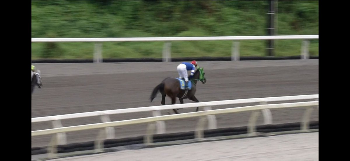 MmeCherokee09's tweet photo. 遅くなりましたが！

パルムグレンやったね！
逃げ切り快勝！
新馬勝ちおめでとう！！！ https://t.co/st85q1ZUWQ