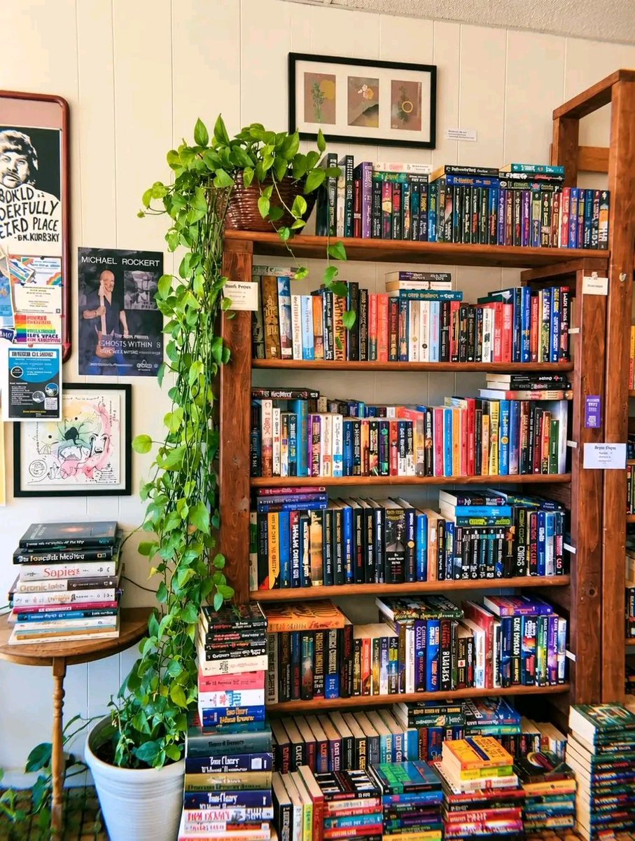 Suhana_man_'s tweet photo. A reader’s dream. https://t.co/QF81ijITgC