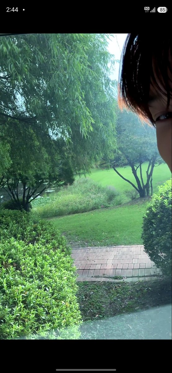glowingkji's tweet photo. btw he said "its pretty right?" while showing the garden 🥹 it took me a while bcs you yourself sir, such a beautiful distraction but yes the garden is pretty.. i wish i can visit the garden one day (if this is not a private property) #카이버블
https://t.co/HcDv301V6J https://t.co/gRuo9tZK0A