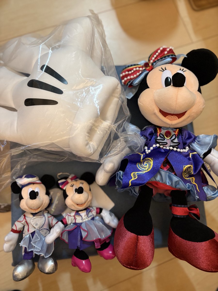 rikochan0919's tweet photo. 本日はお休みだったので、舞浜のボンボへ。
ぬい達やっとお出迎えできた〜✨ https://t.co/ozLVqB8lwZ