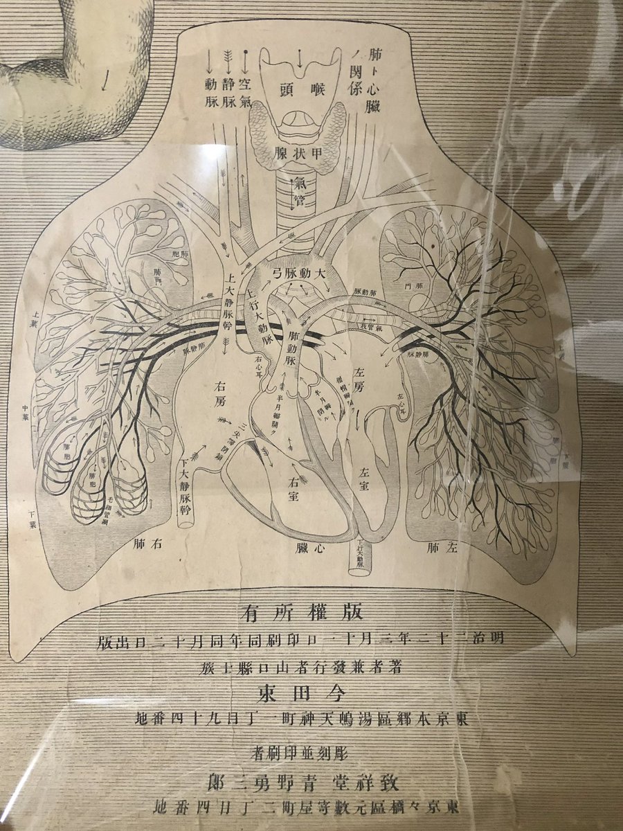 syfannnnnn's tweet photo. 骨董市で明治22年の内臓図を買った🎵 https://t.co/q0olVULrD6