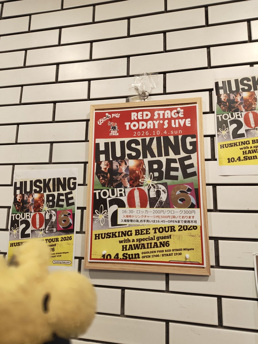 cosmos_star's tweet photo. 本日のライブはこちら
#huskingbee
HUSKING BEE TOUR 2026���
新潟 GOLDEN PIGS RED STAGE 公演
w/ #HAWAIIAN6 https://t.co/upUJysE6Nx