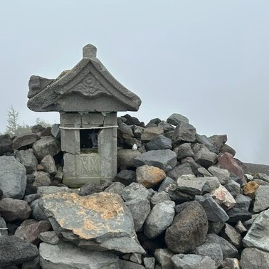 YoKK246's tweet photo. Oct 03, 2026　#キノコ 狩り　#ハナイグチ　#小富士 1,979m  (#富士山 須走口 5合目) https://t.co/Za2UTak1pZ