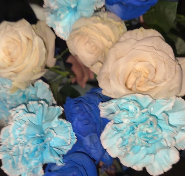 9mzoid's tweet photo. 北海道の友達と初めての新潟でミニマムジークの初ワンマン💐
3人ともめっちゃいい表情してたし聴きたい曲たくさん聴けて差し入れも渡せて大好きな本州の友達にも会えて新しい友達も出来て上越EARTHの方から片付けちゃうから良かったらってお花ももらって胸いっぱいで帰北( ᴗ ̫ ᴗ )
たのしかったなあ https://t.co/BxHBNwKFUU
