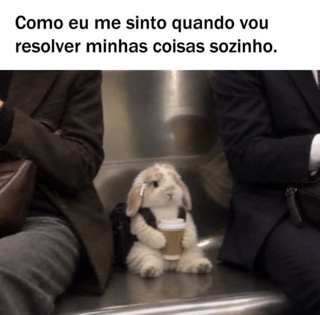 sobreteucaos's tweet photo. https://t.co/l5zbGQSFCY