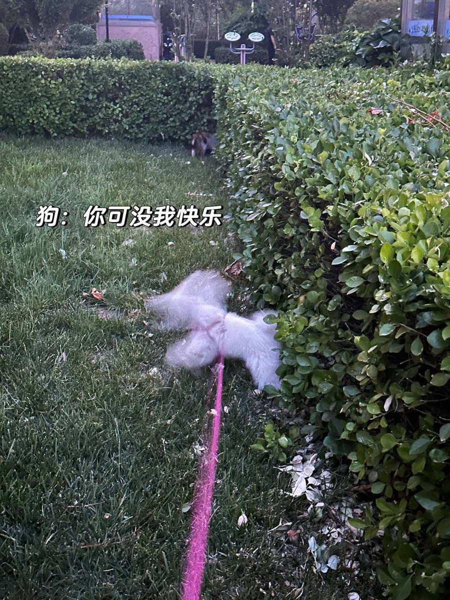 soyjonathans's tweet photo. 本人急需用钱，转让工作，国企好单位，仅限自提，上过五六年，85新，后续有二十年保险可交，要不是身体不允许，真心不愿转让，虽然上班早，但是下班晚啊，虽然工资少，但是任务多啊，虽然休息少，但是工作多啊，五险二金，此岗位仅售8k，月薪3k，回本时间快，机会难得，先到先得！ https://t.co/eBVW3dyrBX