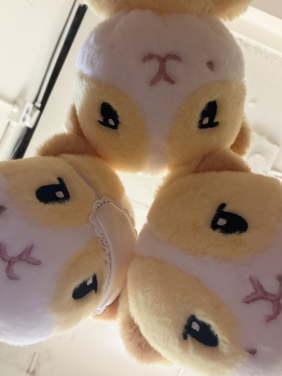 chae0i's tweet photo. 하루종일 츄니 얘기 중 😌😌 https://t.co/hWmme1rWGE