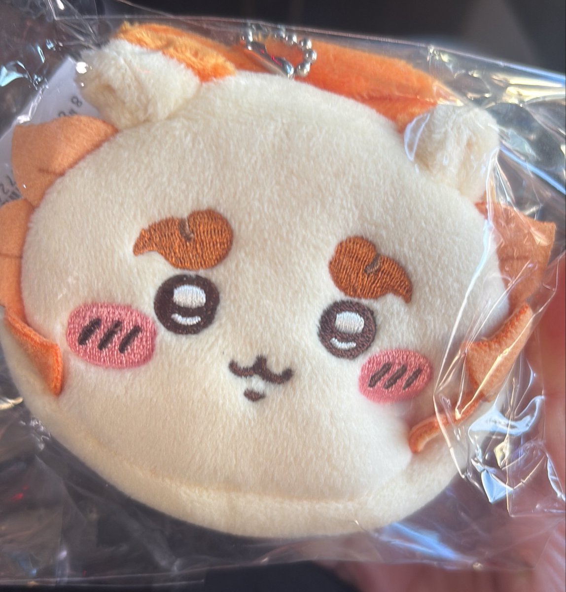 everyshissa's tweet photo. 오늘토벌🫳🫳🫳 https://t.co/mCTivuB83o