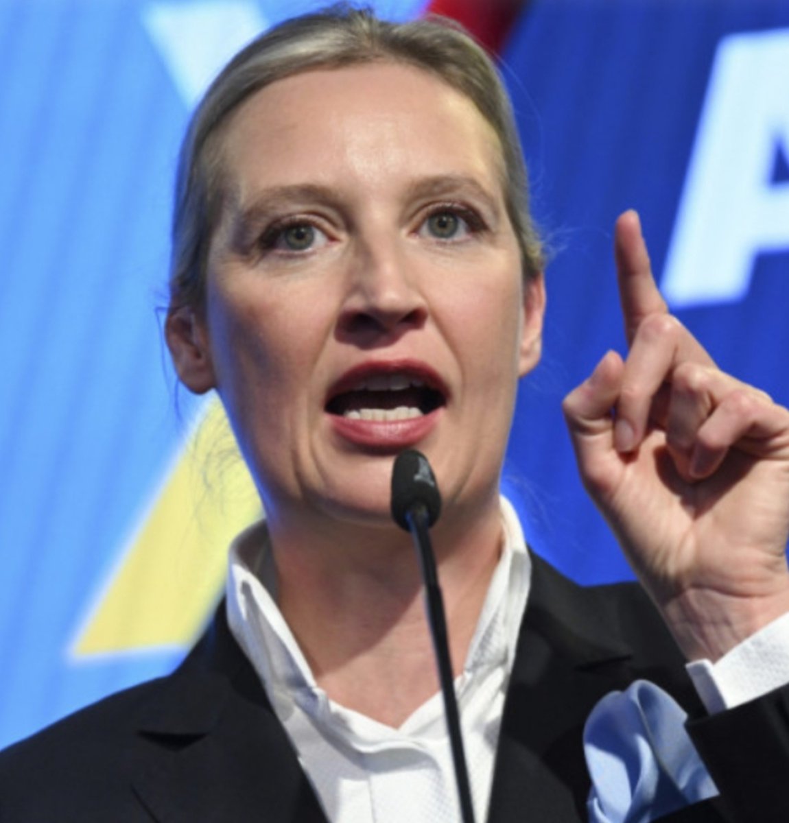 MarioBojic's tweet photo. 🚨🇩🇪AfD leader Alice Weidel just slammed German Chancellor Friedrich Merz over his trip to Ukraine.

"Merz is travelling to Ukraine on the German national holiday and promising further billions of German taxpayers’ money that is missing for the pension and health insurance funds, while Germany is in the midst of its biggest energy crisis." 

"It is all beyond comprehension."