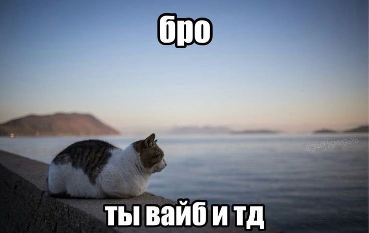 Kilbeyyyy's tweet photo. Как искать друзей в Твиттере, ну тип рял, как? https://t.co/BL5zNmO8mz