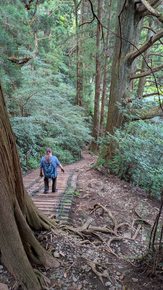 Kyzt__'s tweet photo. #登山道 #筑波山 #つくば市 https://t.co/M2Cur0yhzm