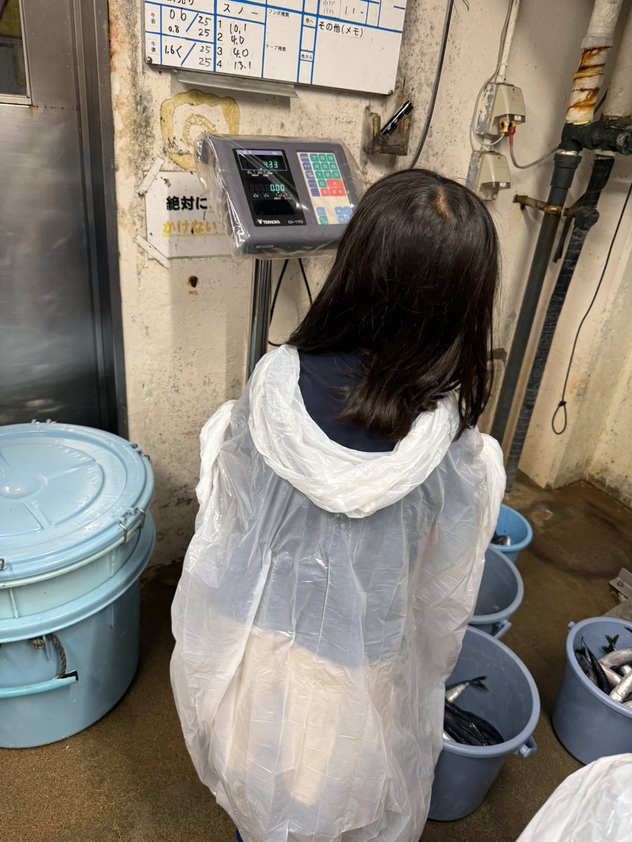 izu_mitosea's tweet photo. 本日開催しました学ぶみとしー2026‼️
『飼育係の仕事を学ぼう！』調餌編〜
普段入ることの出来ない調餌場で
実際に与える動物たちのお魚を（−20℃）のキンキンに冷えた冷凍庫から出して解凍し重さも量りお昼に与える餌を作ってもらいました🐟次は10月18日に開催します
#学ぶみとしー2026 https://t.co/FZBvVbzTht