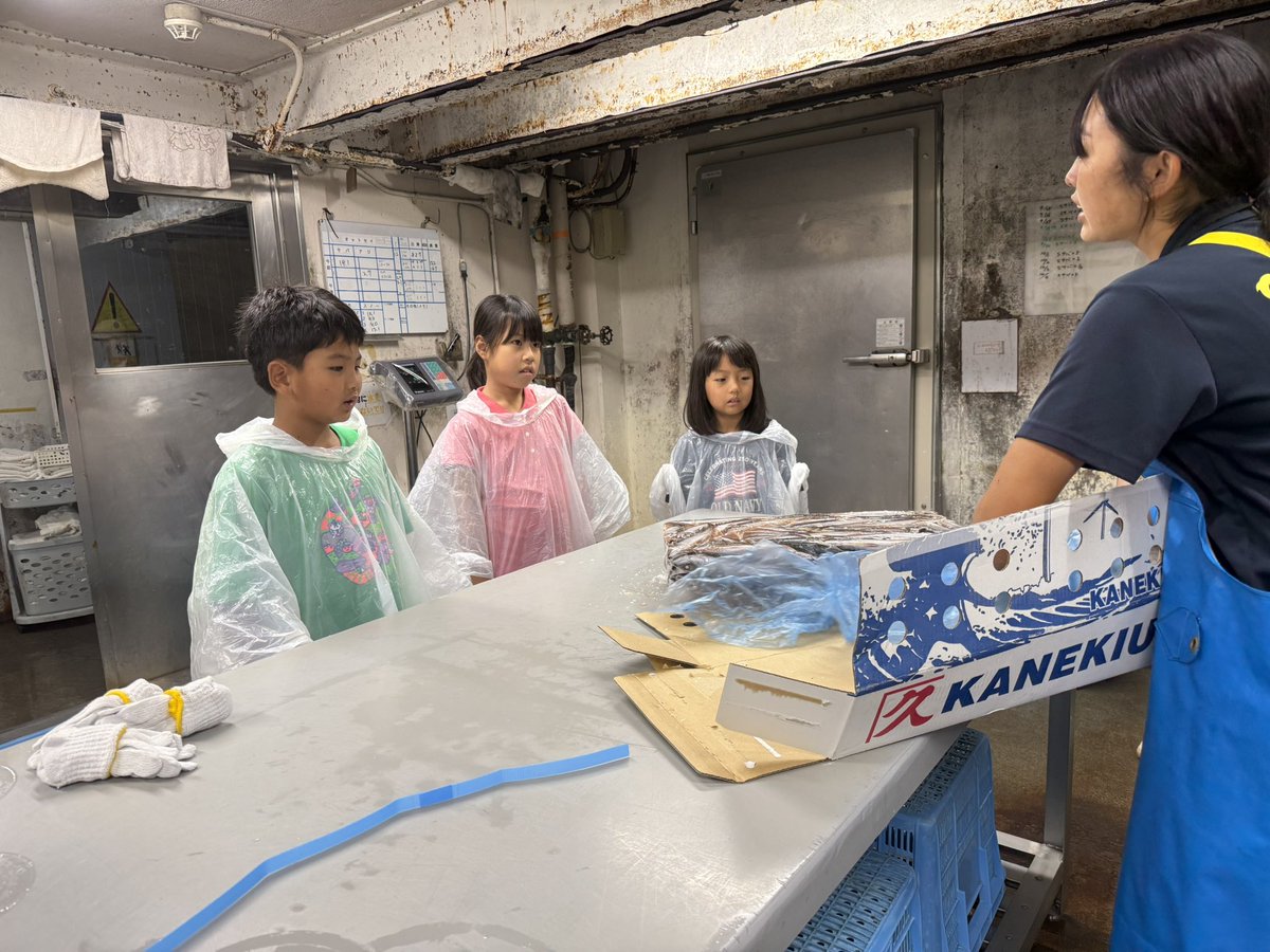 izu_mitosea's tweet photo. 本日開催しました学ぶみとしー2026‼️
『飼育係の仕事を学ぼう！』調餌編〜
普段入ることの出来ない調餌場で
実際に与える動物たちのお魚を（−20℃）のキンキンに冷えた冷凍庫から出して解凍し重さも量りお昼に与える餌を作ってもらいました🐟次は10月18日に開催します
#学ぶみとしー2026 https://t.co/FZBvVbzTht