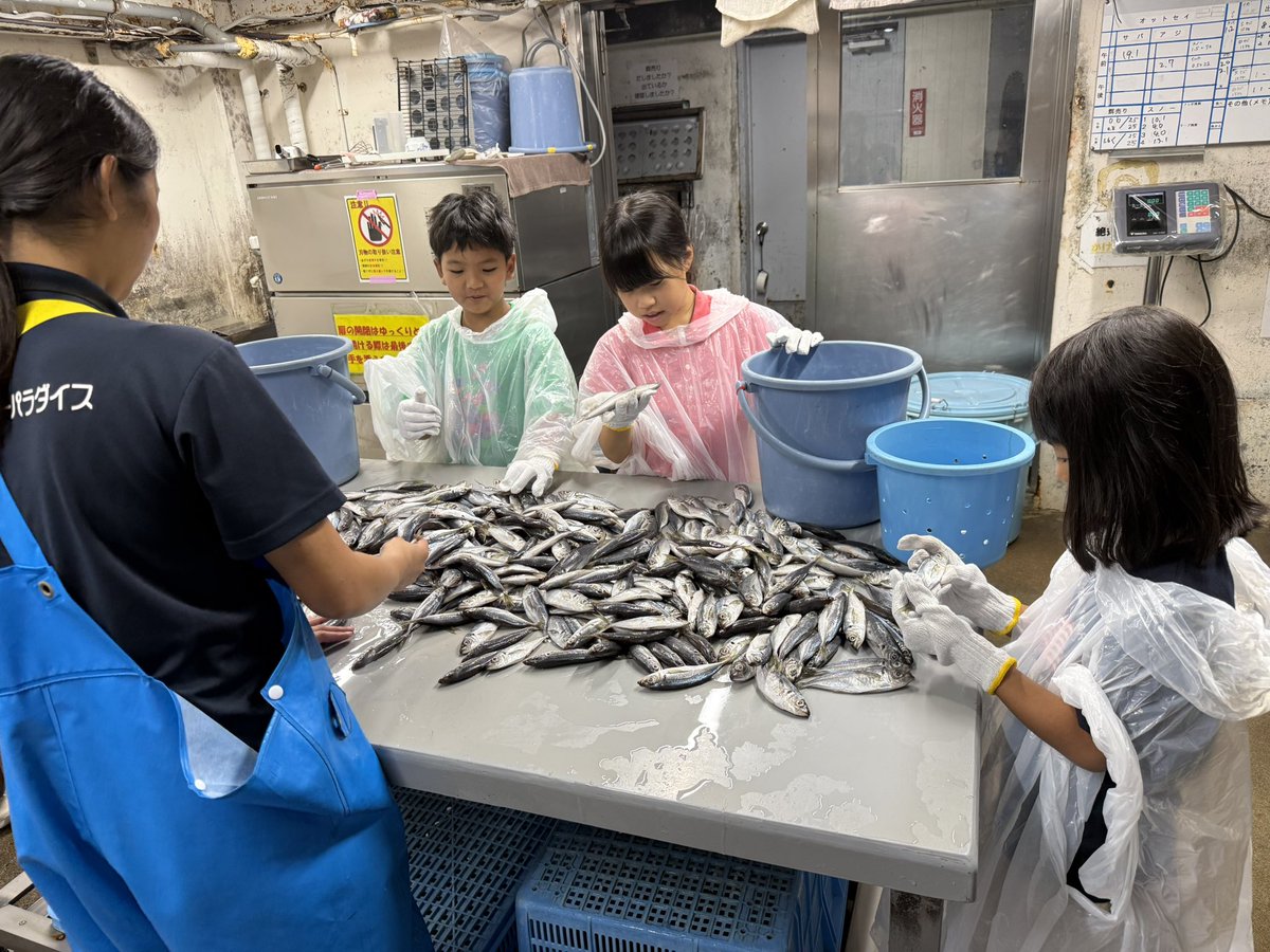 izu_mitosea's tweet photo. 本日開催しました学ぶみとしー2026‼️
『飼育係の仕事を学ぼう！』調餌編〜
普段入ることの出来ない調餌場で
実際に与える動物たちのお魚を（−20℃）のキンキンに冷えた冷凍庫から出して解凍し重さも量りお昼に与える餌を作ってもらいました🐟次は10月18日に開催します
#学ぶみとしー2026 https://t.co/FZBvVbzTht