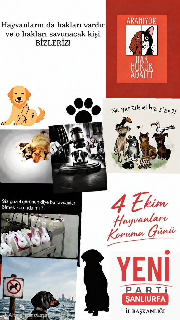 BozansurucuYeni's tweet photo. 🐾 4 EKİM HAYVANLARI KORUMA GÜNÜ  

Bu dünya yalnızca biz insanların değil; sokaklarımızı, parklarımızı ve yaşamı paylaştığımız can dostlarımızın da yuvası.  

Onların bizden istediği çok şey yok… Bir kap su, bir kap mama, biraz şefkat ve en önemlisi yaşam haklarına saygı.  

Bir canı korumak, yalnızca bir hayvanı değil; vicdanımızı, merhametimizi ve insanlığımızı da korumaktır.  

Sessiz dostlarımızın sesi olalım; onları sevelim, koruyalım ve yaşam haklarına hep birlikte sahip çıkalım. 

🐾. 4 Ekim Hayvanları Koruma Günü kutlu olsun.  

Ecz. Bozan Sürücü YENİ PARTİ Şanlıurfa İl Başkanı

@yenipartiyiz @eczozgurozel @EnsarAytekin10 @MTanal
