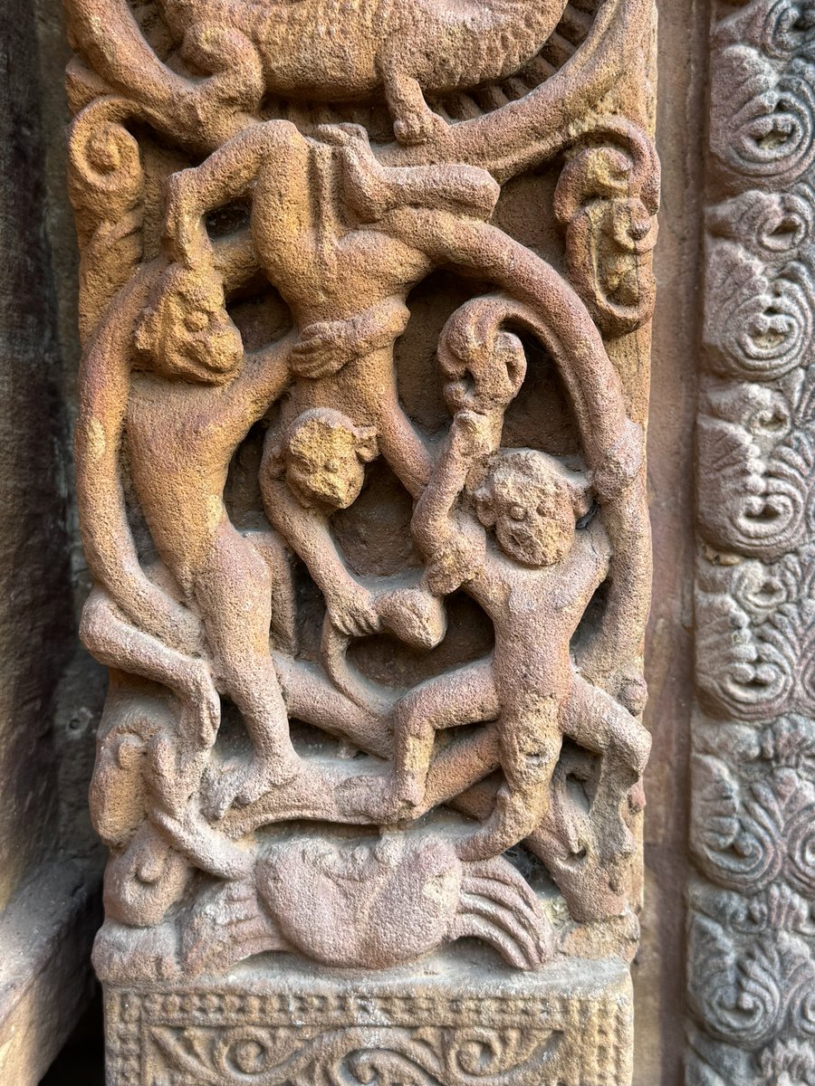 ShefVaidya's tweet photo. We are familiar with the images of Gods, Goddesses, Apsaras and other divine beings on temple walls, but why would anyone dedicate a whole window of a 1000 year old Hindu temple to a troop of monkeys? 

I answer this question in my latest essay on Substack about the ‘monkey window’ at the Mukteshwar temple in Odisha.

Do read and share/Subscribe if you like it.  https://t.co/zKQw017wmT