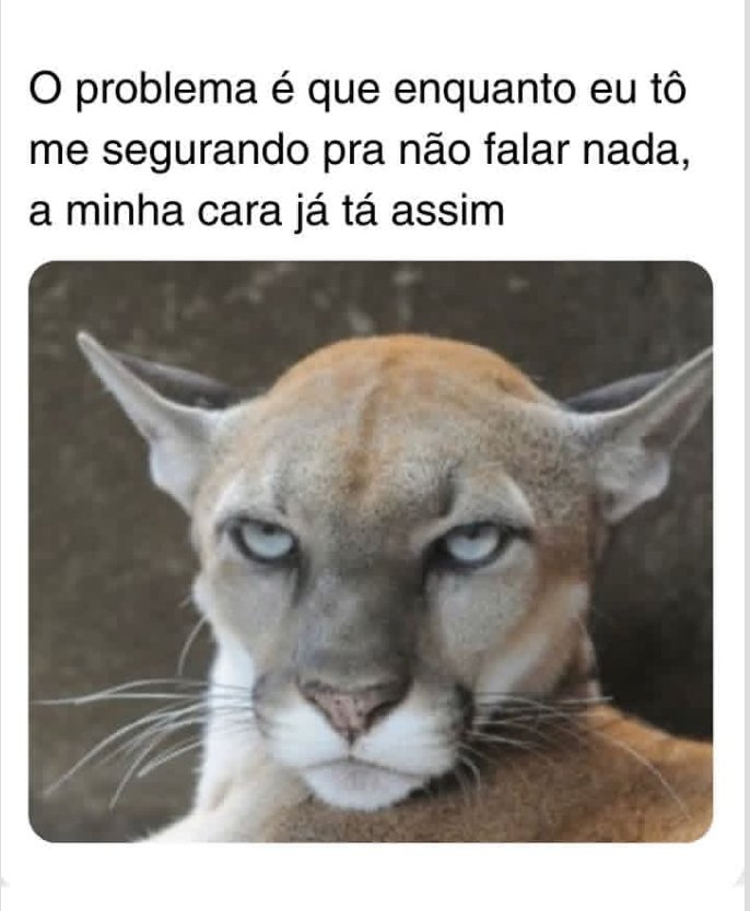 sobreteucaos's tweet photo. https://t.co/wGzwyL71Gj