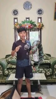 prof_otodidak's tweet photo. Ayo, lihat videoku di Shopee Video!  https://t.co/U4VIi6YDw0 https://t.co/AsYLJuaHrK