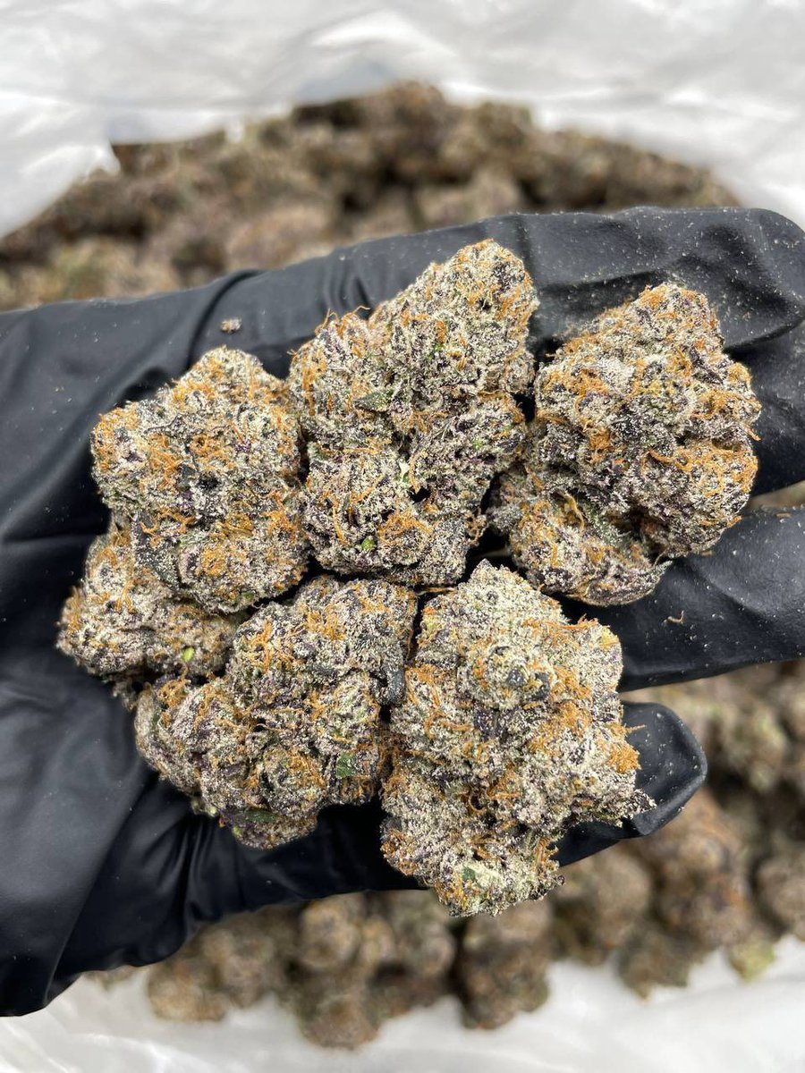 pointshop9092's tweet photo. Blue Altoidz indoors 🍧
Crazy frosty candies with tons of color and great bag appeal. Smells like a cross between a bomb blue cherry runtz and a sour warheadz
Join telegram group page to order right now on the link below 

#drugtwt #smokertoker #carti 
👇👇👇👇👇👇👇👇👇💯⛽️

https://t.co/tdDSIhmjWG

https://t.co/tdDSIhmjWG