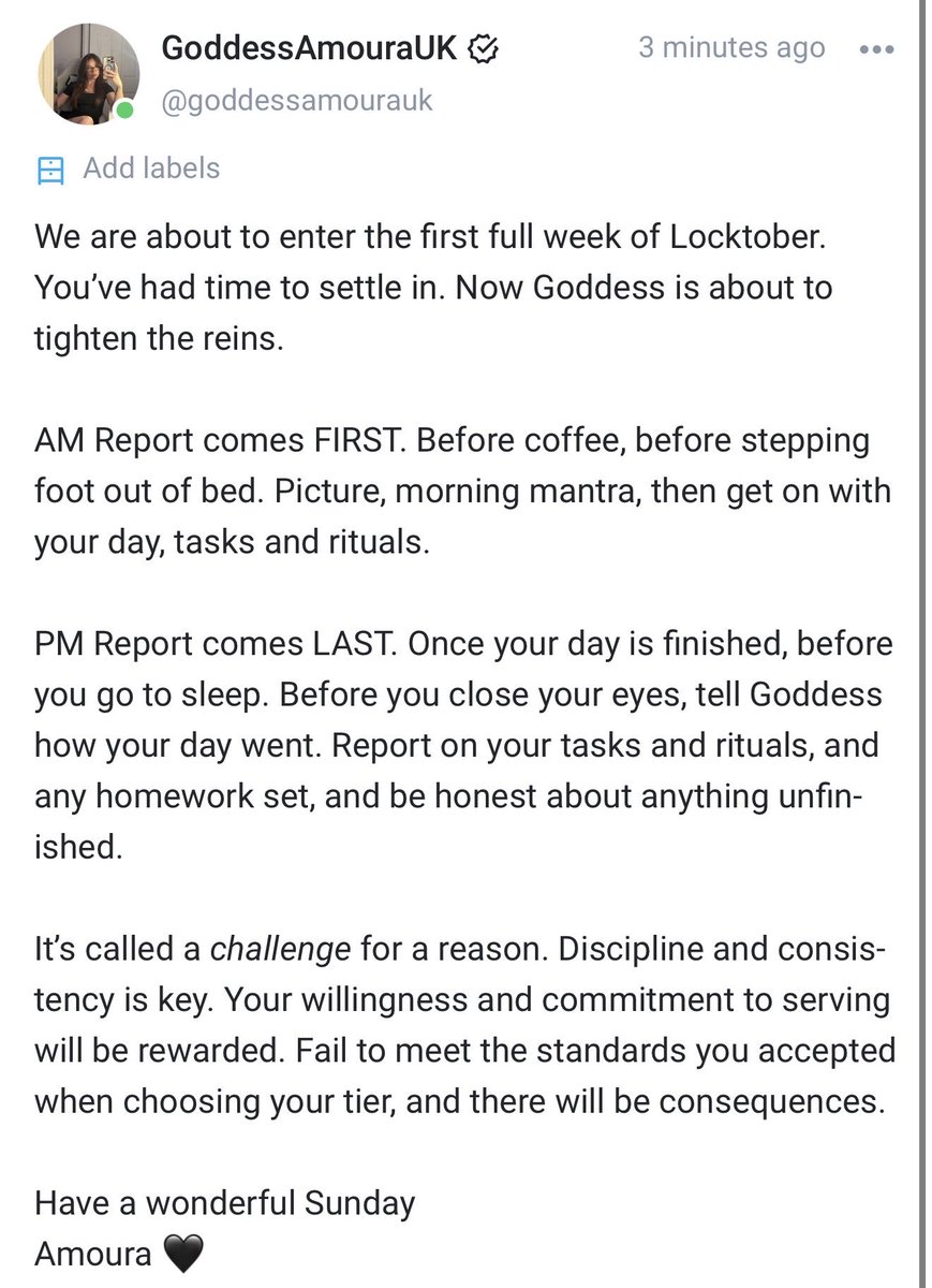 AmouraUK's tweet photo. How’s your locktober going? 

If you’re feeling a little lost, mine comes with structure, difficulty tiers, reporting, rituals, tasks, games, consequences

You can still join : 
https://t.co/PWst2Pa7S2 https://t.co/8jjiI2iiBH