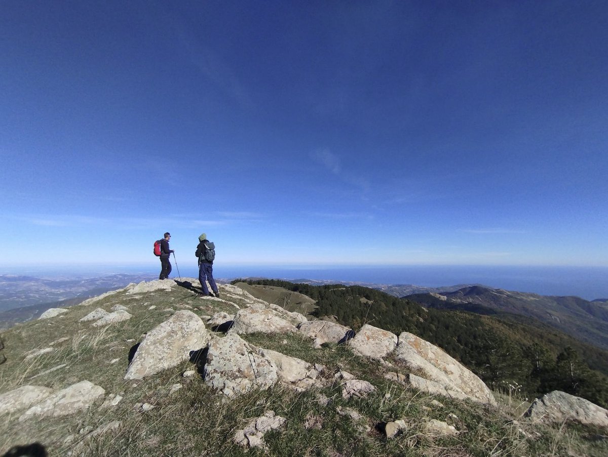 sentieripollino's tweet photo. Raggiungere il Monte Sparviere (1.713 m) è un’esperienza intensa tra trekking e natura selvaggia nel Parco del #Pollino, lontani dai circuiti più battuti. Altro 👇
https://t.co/6m0Hnm8ASo
Foto ©Pierluigi Rottura #trekking https://t.co/ybNIxH3yrS