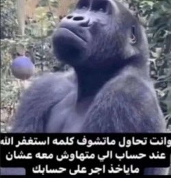 1_xvcu's tweet photo. @dv1i0 تذكرت هالاستكر هههههههههههههههههههههههههههههههههههههههههههههههههههههههههههه https://t.co/mDYrrojJvm