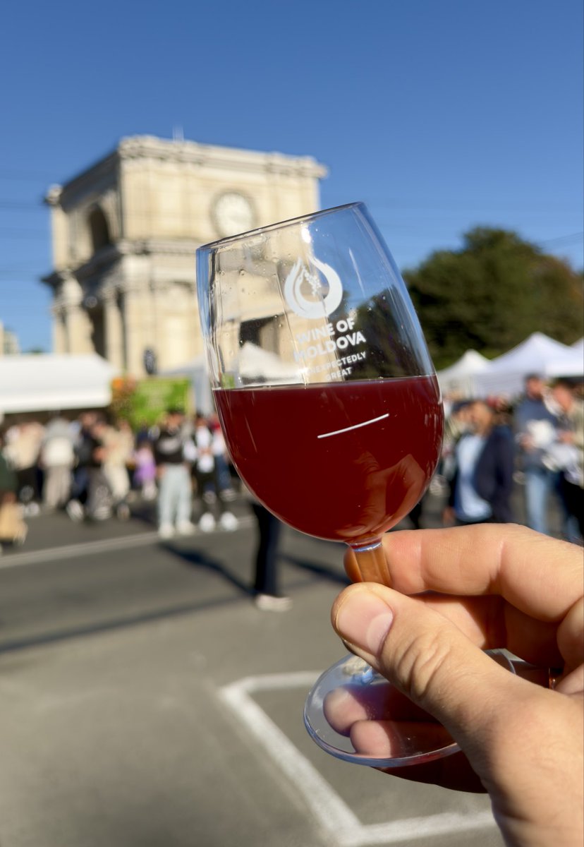 BejenaruGrigore's tweet photo. Chișinău is celebrating the 25th edition of #NationalWineDay bringing together 114 wineries from across the 🇲🇩Republic of #Moldova this weekend. 

One of the highlights was setting a #GuinnessWorldRecord for the largest human image of a grapevine, formed by 493 people. https://t.co/o3vgsGOOQc