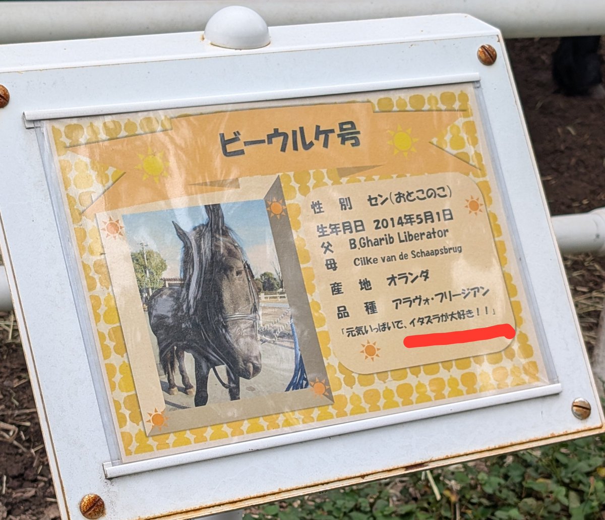pakapaka_1212's tweet photo. やーめーろーよ！
やーめーろーって！ https://t.co/W0TCXtfbC7