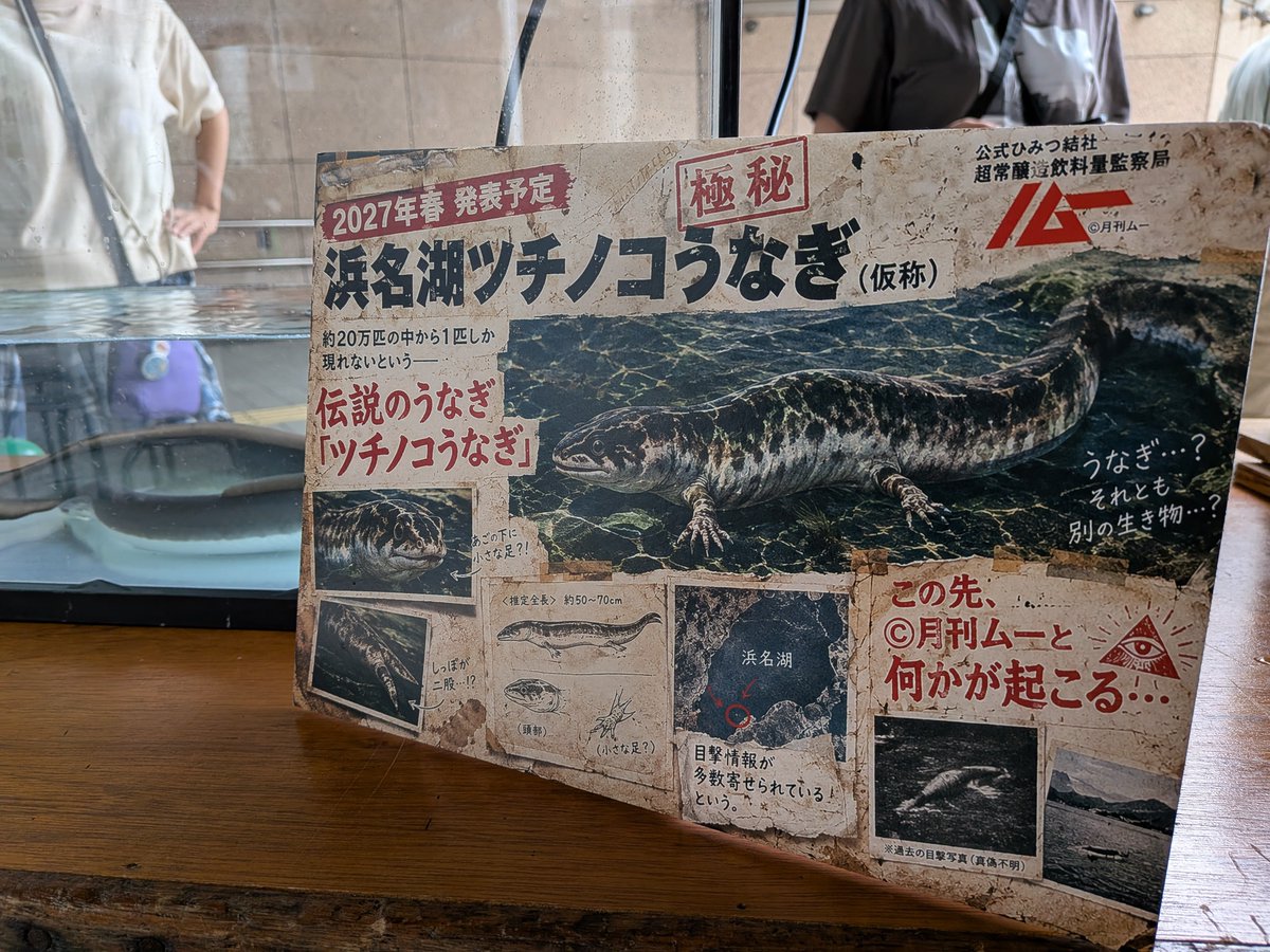 mu_gekkan's tweet photo. 浜松クラフトビールフェス2026にて、浜松のビール消費を増やすためにノムーというひみつ結社が組織されました。近代フリーメーソンもパブから始まっていますし、お酒の場で生まれるのは必然。謎の液体でのイニシエーションと乾杯の儀式にて、団結！　またお会いしましょう！
https://t.co/YcZ2tIHZUU https://t.co/BCTTcmvP6g