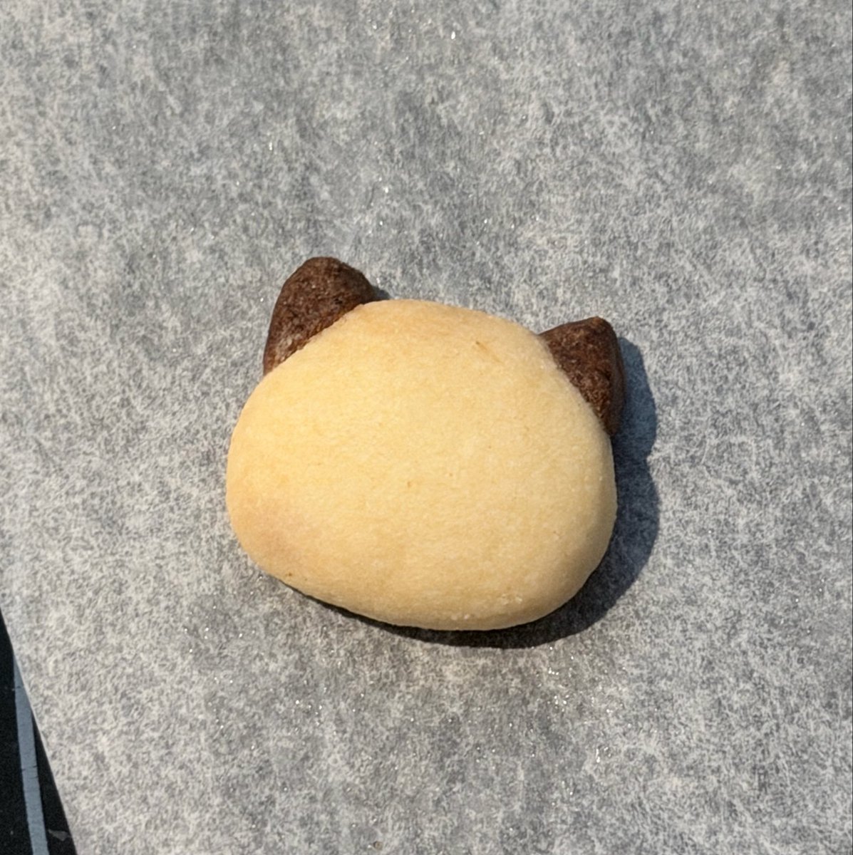 akhn0303's tweet photo. ねこちゃん。 https://t.co/bzRnK4Zn8P