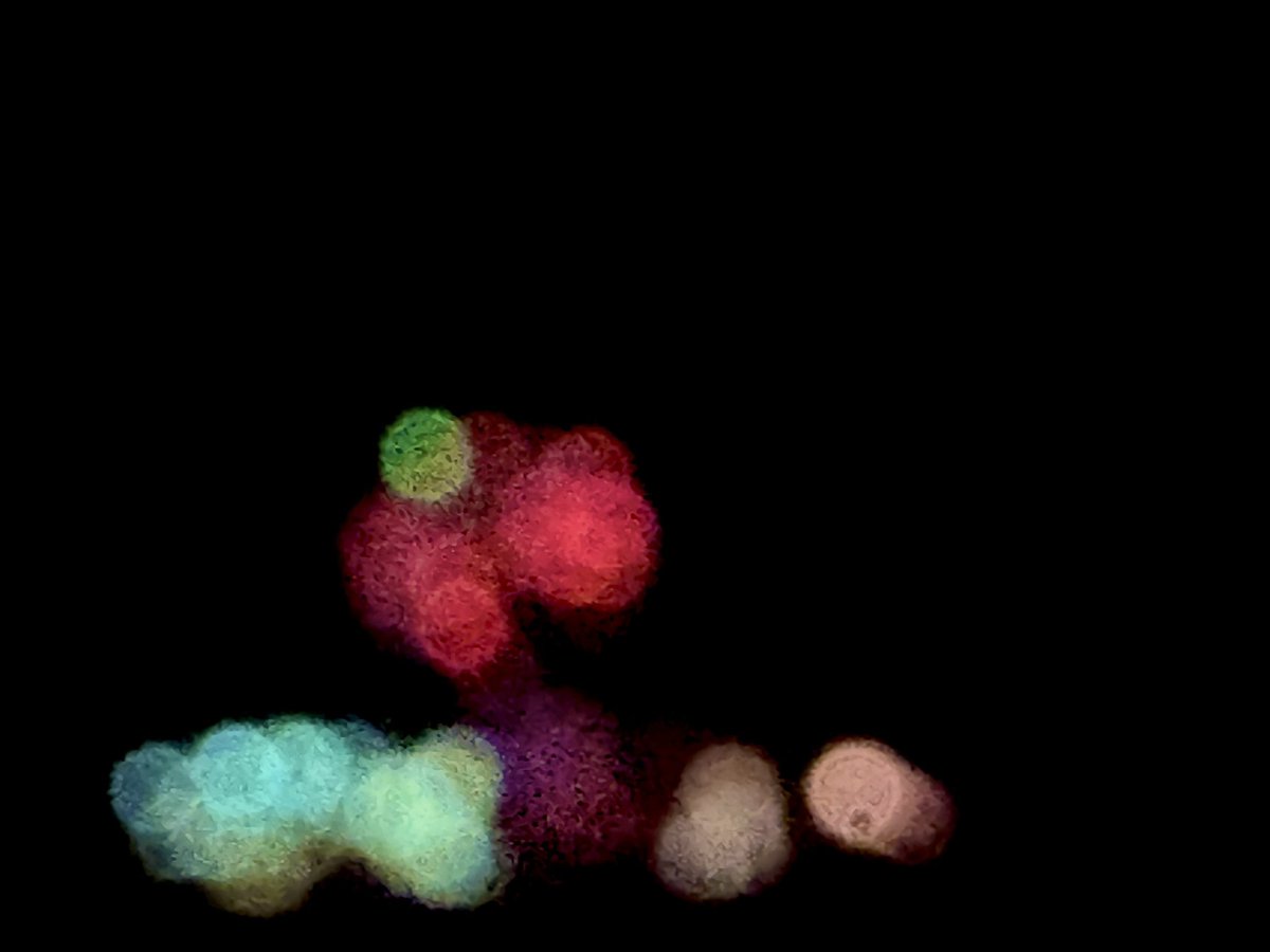 LakRilyn's tweet photo. beautiful bokeh☺️ https://t.co/OjLUpZcLCq