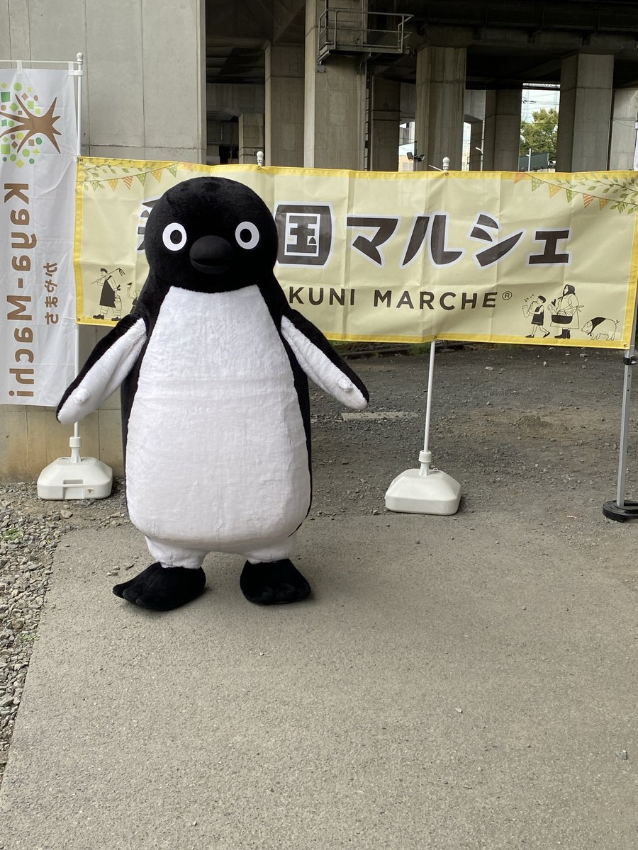 Honeeeey821's tweet photo. 今日も南与野のスイペンちゃんに会ってきました🐧昨日に引き続き穏やかで平和で、至近距離でたくさん見ることができました🥹泣いてる仕草もしてました🥲
今後グリーティングのことを考えると、このような雰囲気になることはないので2日間行ってよかったです。どうもありがとう♥️
 #Suicaのペンギン https://t.co/jEmRERUad7