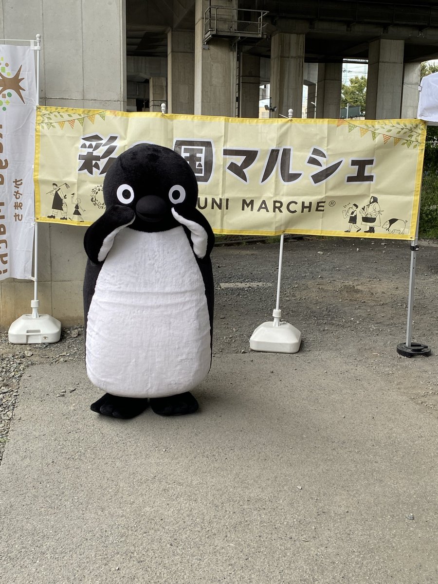 Honeeeey821's tweet photo. 今日も南与野のスイペンちゃんに会ってきました🐧昨日に引き続き穏やかで平和で、至近距離でたくさん見ることができました🥹泣いてる仕草もしてました🥲
今後グリーティングのことを考えると、このような雰囲気になることはないので2日間行ってよかったです。どうもありがとう♥️
 #Suicaのペンギン https://t.co/jEmRERUad7