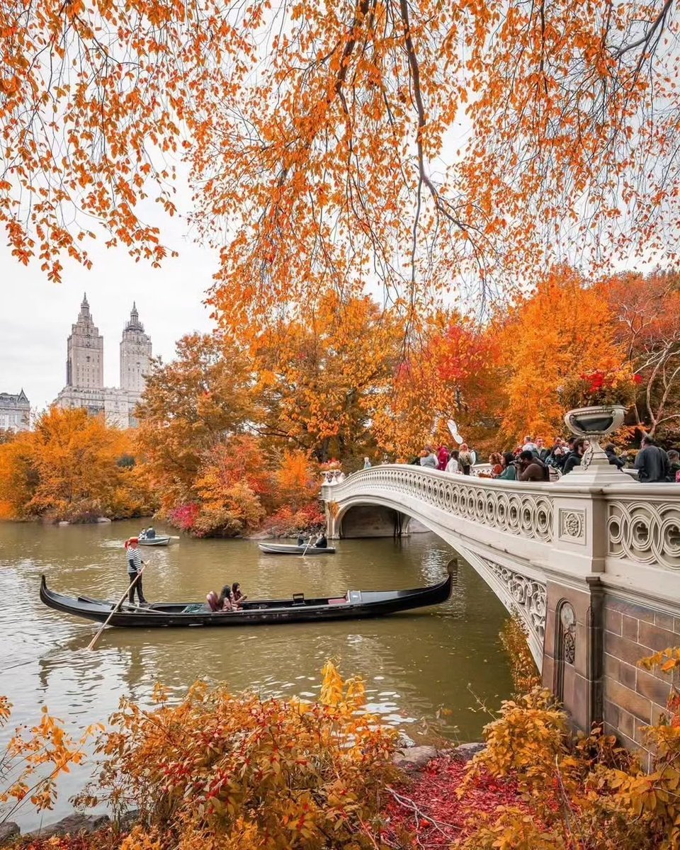 ____flowers__'s tweet photo. Fall in New York 🇺🇸 https://t.co/DfUPk8BCL7